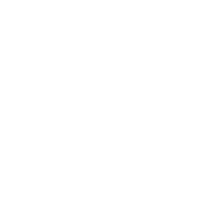 Bottom Ring Inner